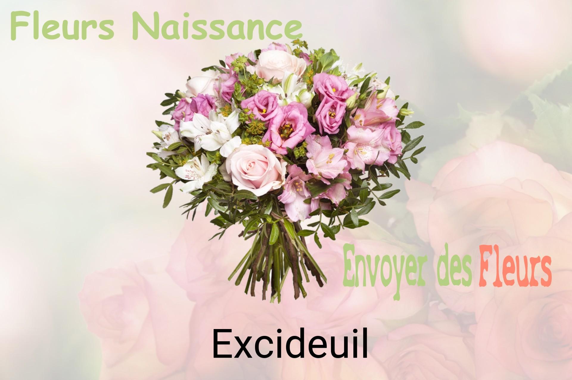 Bouquet de fleurs de naissance livré à Excideuil